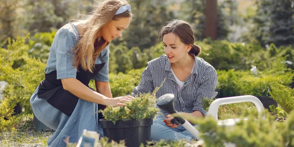 Obliczanie śladu węglowego w branży reklamowej: Jak sprawdzić i zminimalizować swój wpływ na planetę?