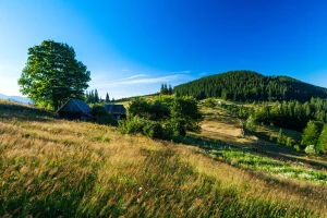 Zarządzanie ryzykiem i compliance w Austrii — oferta BDO Austria